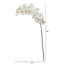 Fabric and Silk Faux Floral Arrangement-55559035