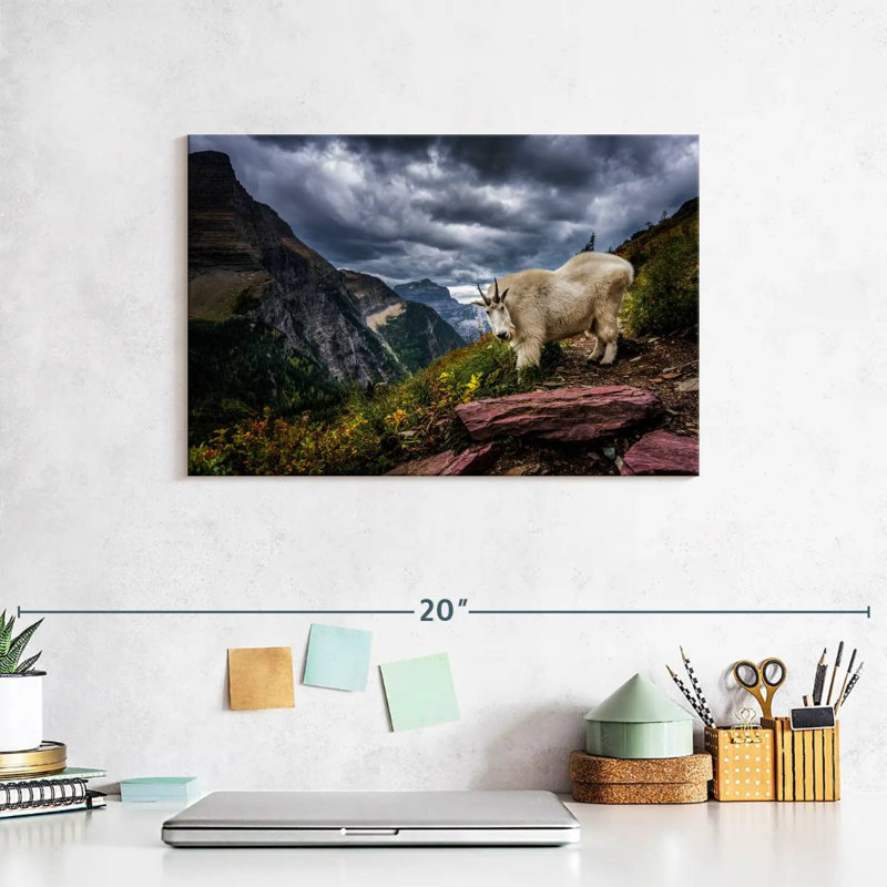 Brampt Rocky Mountain Goat
