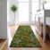 Premium Machine Washable Cerrito AMF533 Green Rug