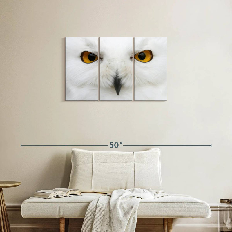Yeux de chouette des neiges, H 20 po x l 33 po