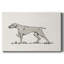 Toile tendue avec neutre Neutre Pointer II-563997665