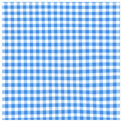 Blue White Gingham Comforter