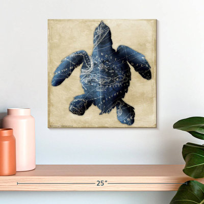 Brampt Map Turtle Indigo