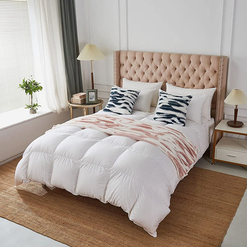 (Couvertures avec insertions) Ensemble de 2 coussins décoratifs moelleux