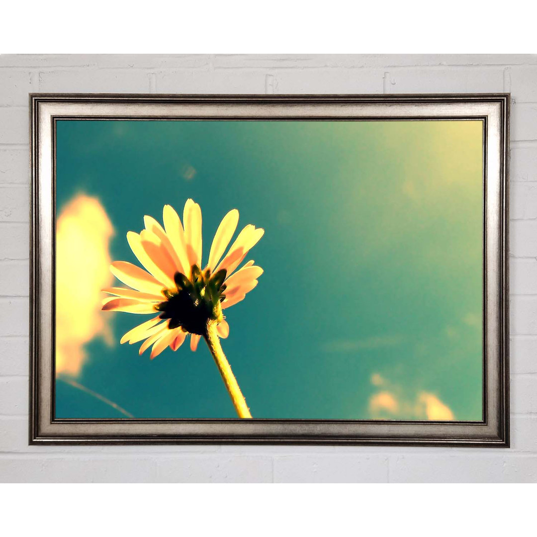 Sommerblume Retro Sonnenschein - Einzelner Bilderrahmen Kunstdrucke