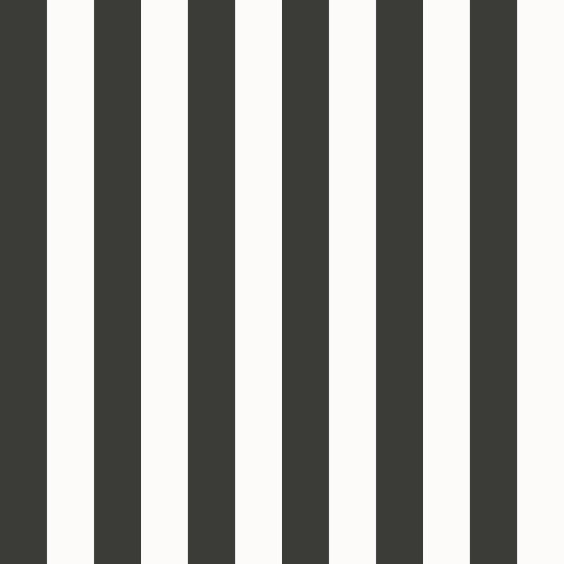 Style Sisters Classic Thin Stripe Design 10.06m x 53cm Matte Wallpaper Roll, Black/White