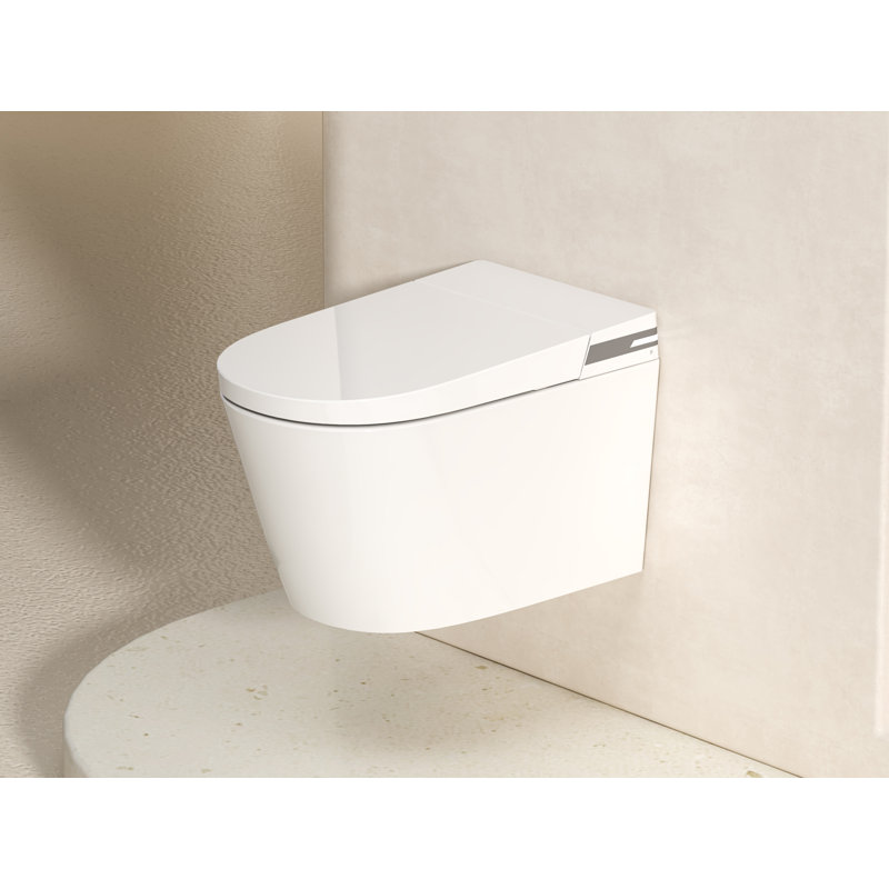 MEJE New Wall Hung Toilet Combo, Wall Mounted Toilet Bowl with In-wall Carrier, Soft Close Seat, Dual Flush, White (No Need additional In-wall Water Tank)