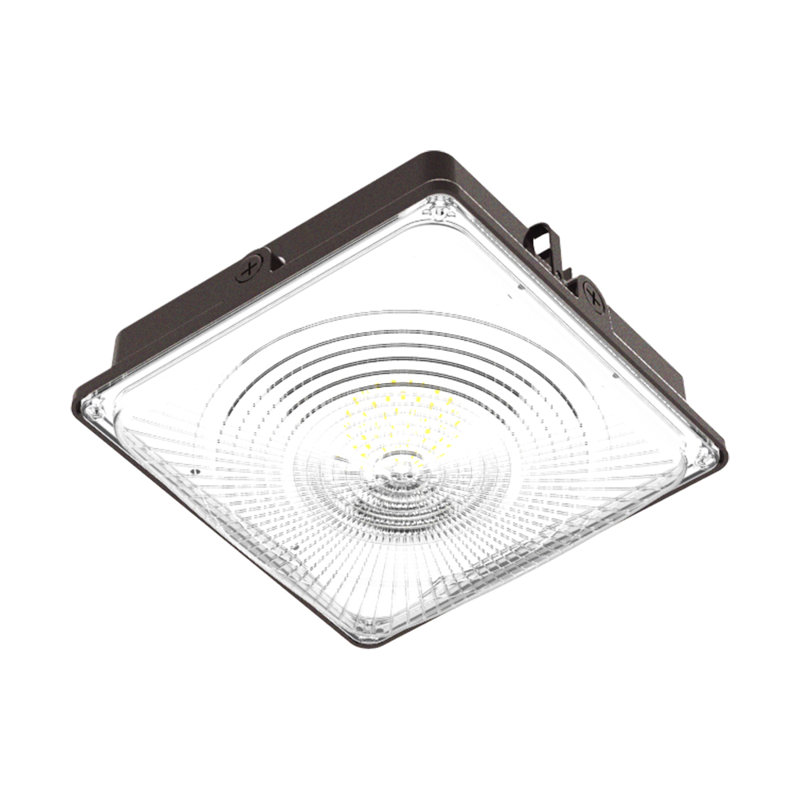Dimmable Square Canopy Light, Bronze