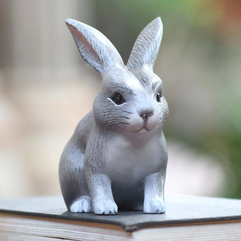 Lapin curieux Brauer, Gris