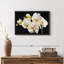 Fleurs fraîches d'orchidées blanches sur toile-100705022