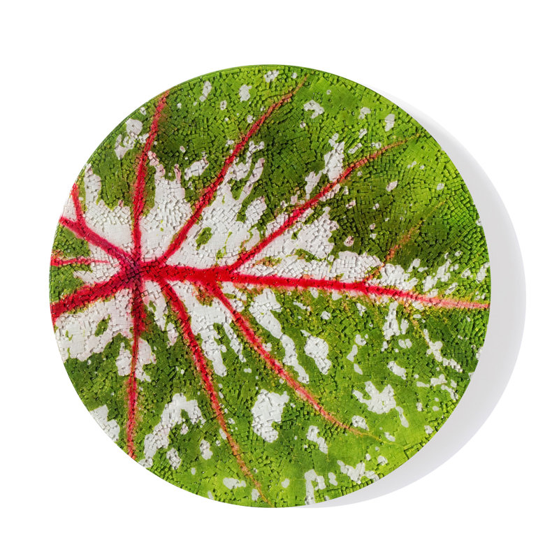 Décoration murale caladium