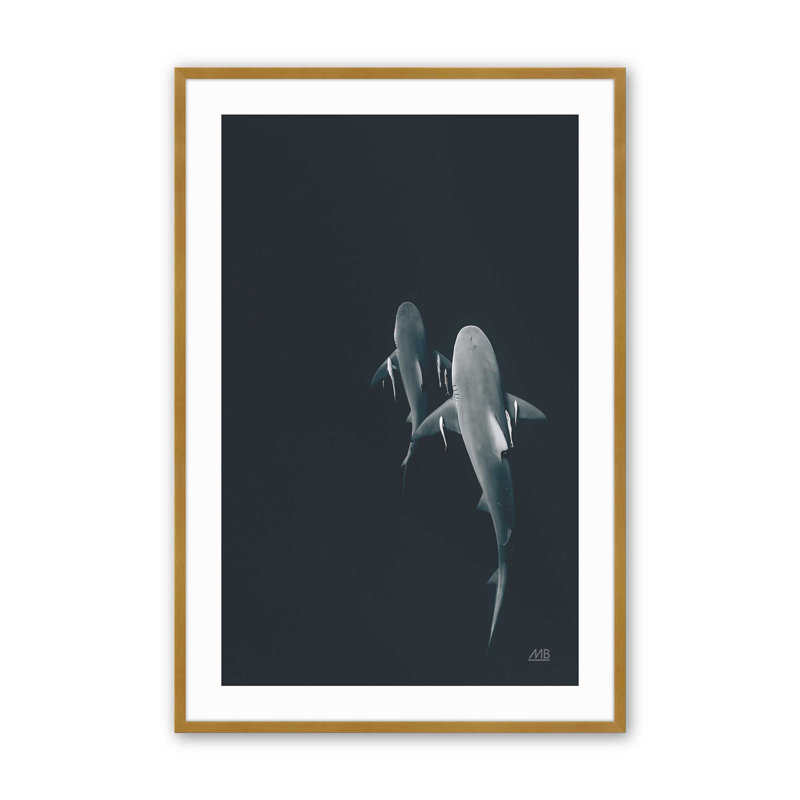 Serene Shark Shadows Print, 15.25" H x 12.25" W, Gold