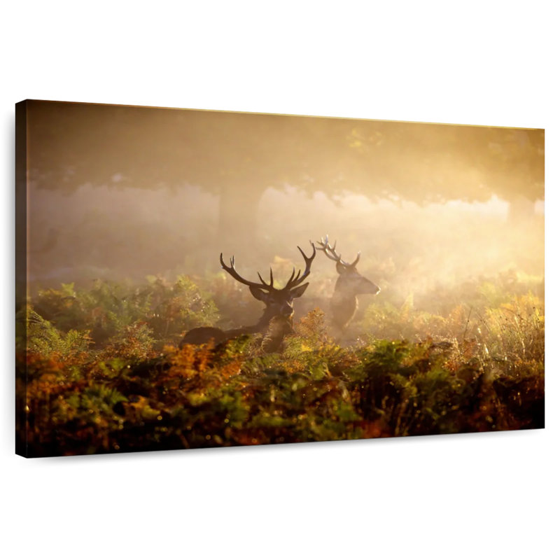 Crowle Misty Morning Deer, H 8 po x l 12 po