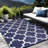 Aldo Indoor / Outdoor Rug-1525157796