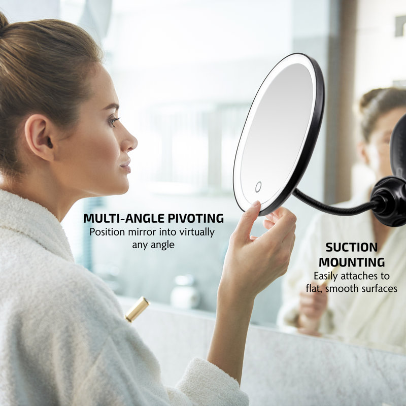 Antique Black Oval LED Wall Mounted Magnifying Mirror