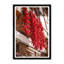 Paro Valley Chillies Print by Tim Klein