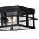 Matte Black 2 - Bulb Outdoor Flush Mount