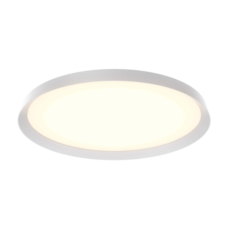 Aurora 21 Inch Dual Light LED Flushmount, White