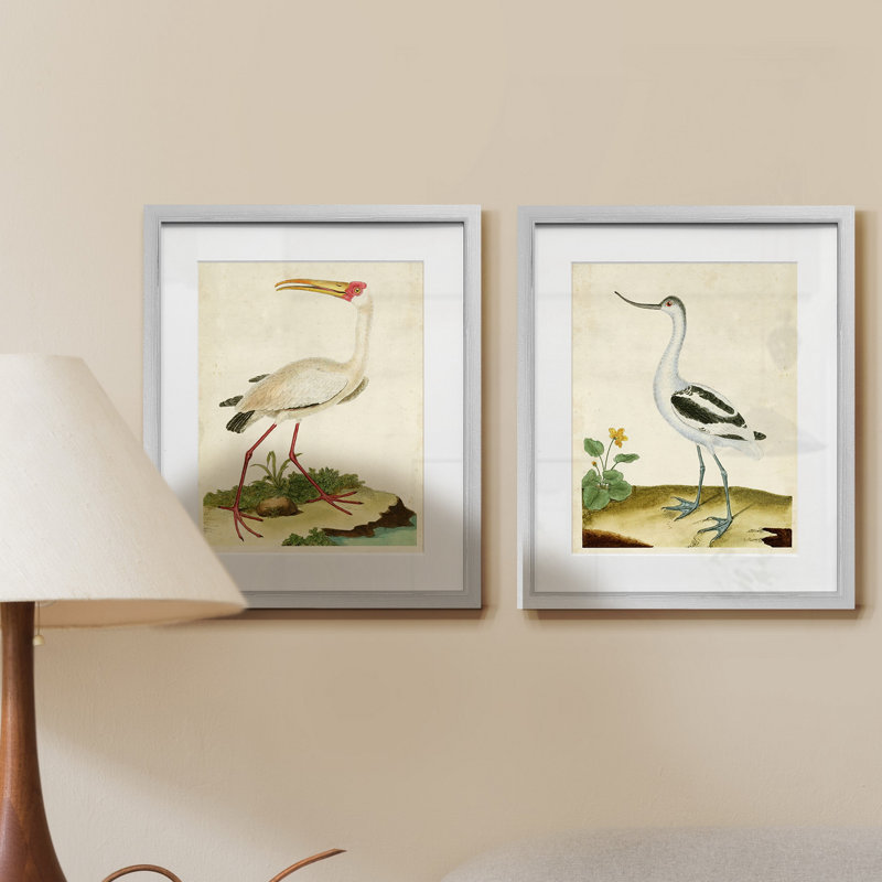 Heron portrait VII-ensemble de 2 reproductions d’art graphique encadrées sur papier