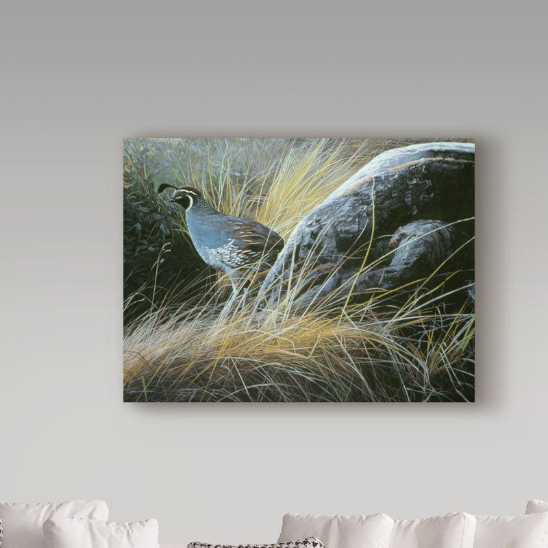 California Quail Landscape Framed Canvas Art 14x19
