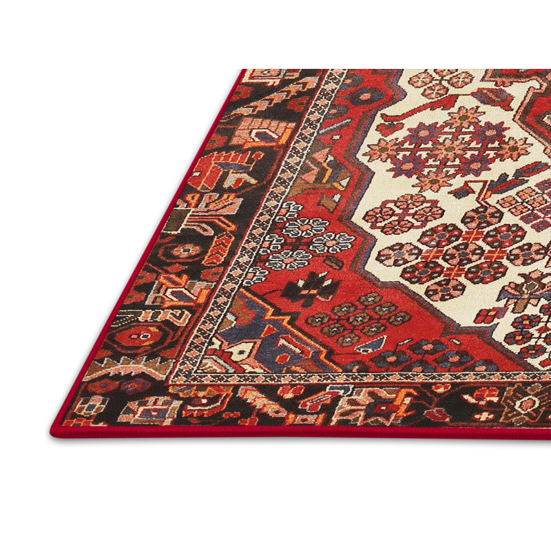 Tapis brun Southwestern, Rectangle 5 pi x 7 pi