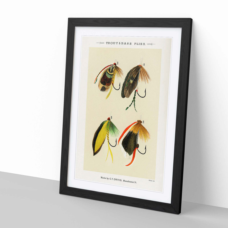 Trout & Bass Fishing Flies by Mary Orvis Marbury - Picture Frame Painting Print, 50cm H x 35cm W x 2cm D, Black