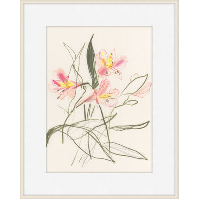 Alstroemeria 1 Print by Claudia Lowry