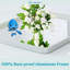 Miroir de salle de bain Waterpar-648686537-693272629