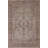 Distressed Traditional Area Rug 7x9
