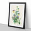Wild Pansy Flowers by Pierre-Joseph Redoute - Framed Print-55612371-55612375
