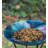 18" Birdbath with Stand - Swirl Blue