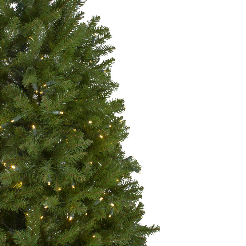 12' Pre-lit Northern Pine Full Artificial Christmas Tree - Warm Clear LED Lights, 12'