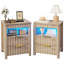  17.7'' W 2-Drawer Nightstand with LED Light and Charging Station-315037874
