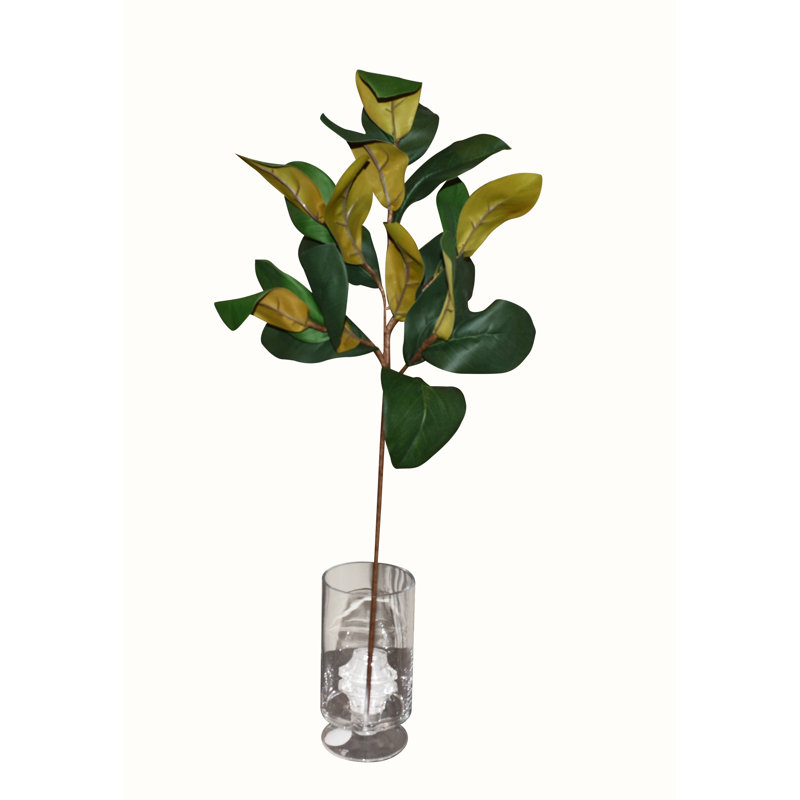 Vaporisateur 32 "Real Touch Magnolia 