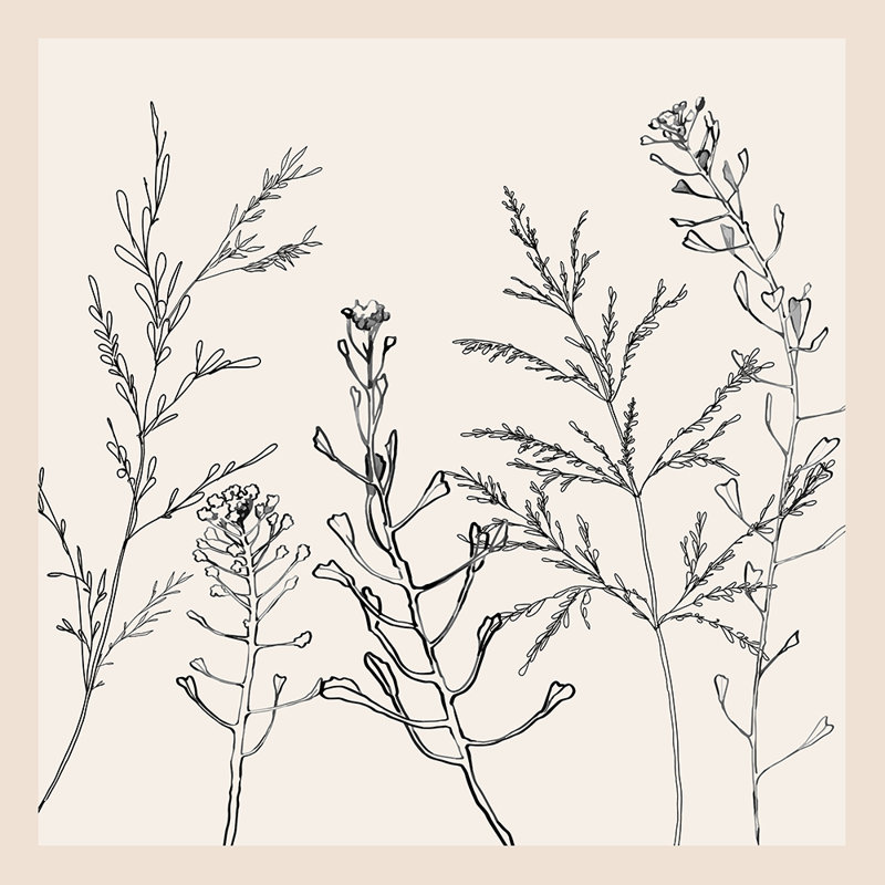 "Minimalist Grass 2" par Nadja sur toile, H 30 po x l 30 po