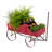 Jacksboro Wagon Planter-211152474