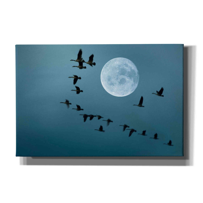 Epic Graffiti 'Fly Away' By Ata Alishahi, Giclee C " Fly Away " by Ata Alishahi