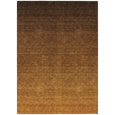 Tapis ombré lavable intérieur / extérieur 5 pi x 8 pi brun