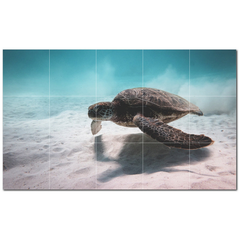 Tortue photo 12 x 12