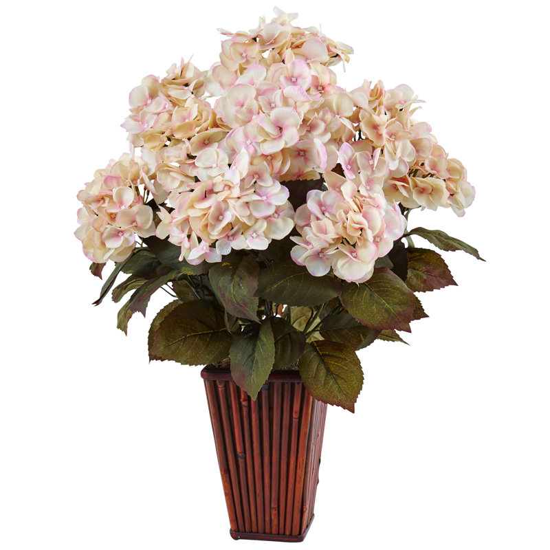 Arrangement floral hortensia dans un pot de fleurs, Crème et rose