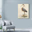 «Antique Heron II» par World Art Group, reproduction d'art graphique sur toile-33521949