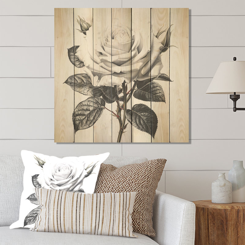 Dessin au crayon monochrome - Rose sur bois, H 15 po x l 15 po