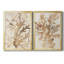 Parchment Coral III, reproduction encadrée de qualité supérieure - prête à être accrochée-2086939612-2086939610