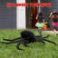 Halloween Spider Decorative Accent