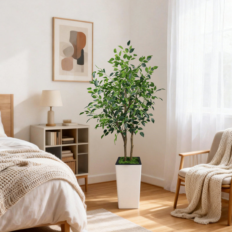 Ficus benjamin artificiel 5 pi Evergreen, 60 po x 9 po