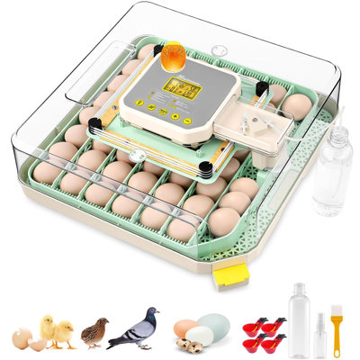 48 Egg Incubator For Hatching Eggs With Auto Egg Turning, Precision Temp & Humidity Control, 360°Viewing, Egg Candler, Incubator For Chicken Eggs/Duck/Quail,Ideal For Farm/School/Lab,
