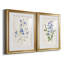«Blue Botanical I», ensemble de 2 reproductions d'art-2026522010-2026522011-2026522012