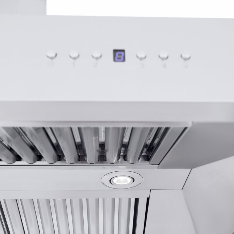 48" Professional Ducted Wall Mount Range Hood in Stainless Steel