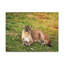 No Frame Print on Canvas-1531472524