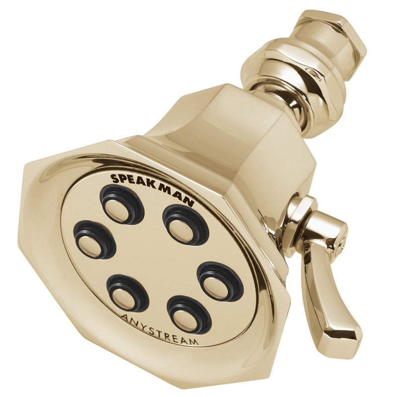 6 Jet Multi Function Adjustable Shower Head, Polished Brass, 2.5 GPM